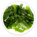 Wakame Extract (leaf)